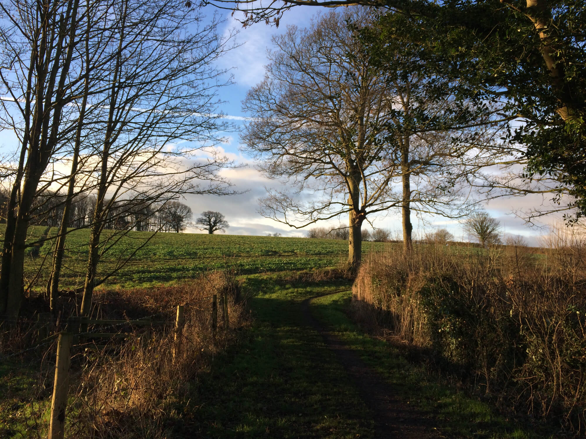 Footpath at Rudding Estates