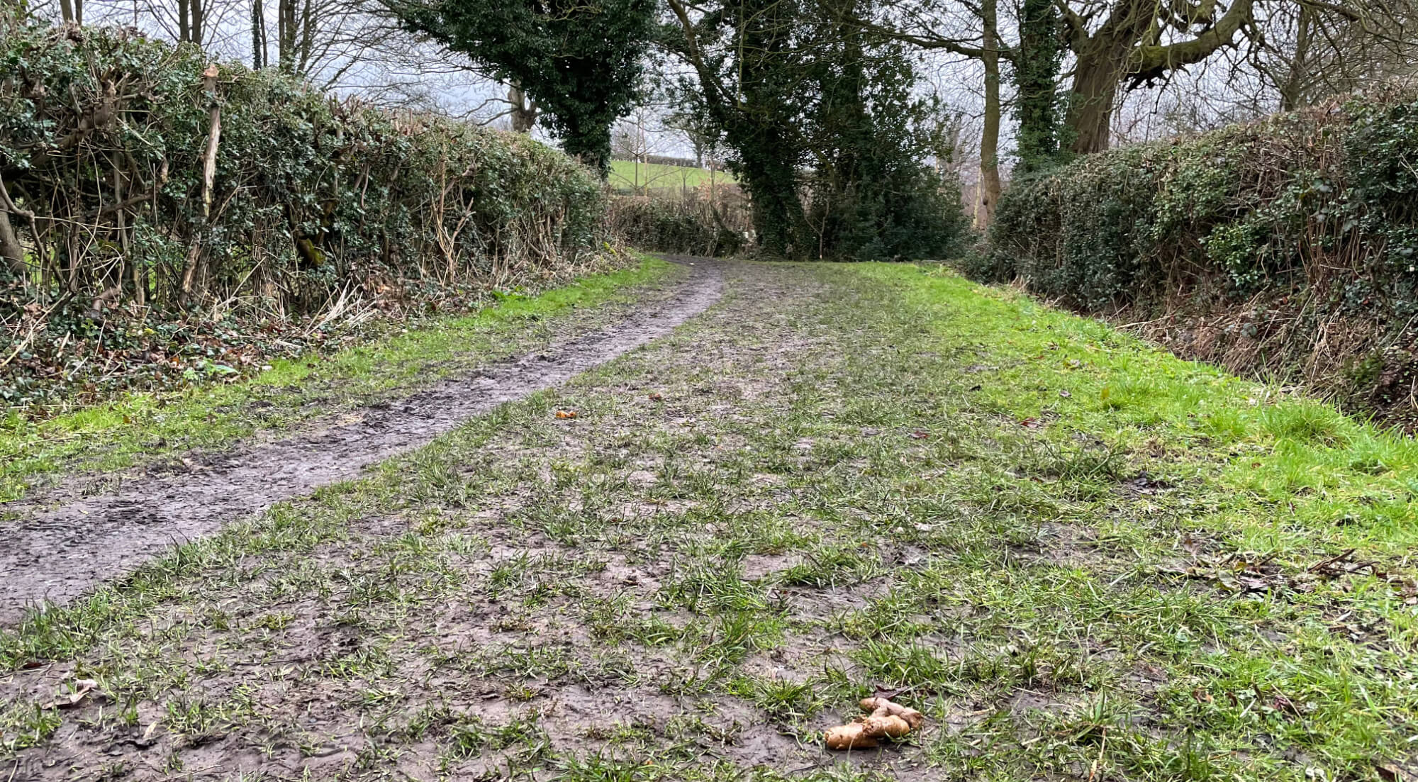 Public footpath at Rudding Estate