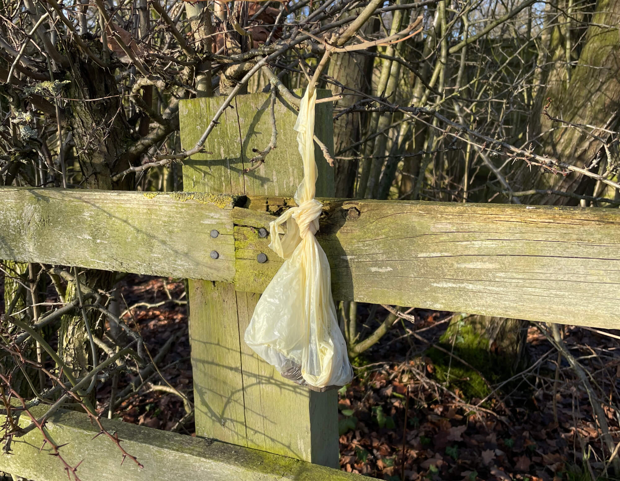 Rudding Estate news