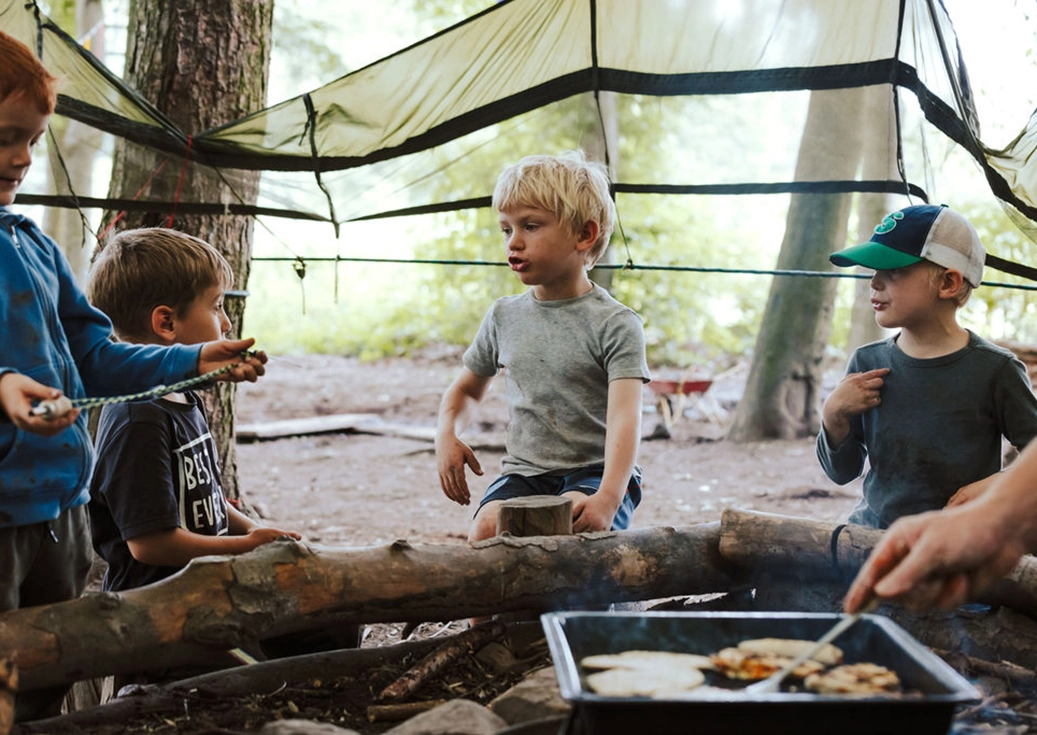 Born of the Forest activities