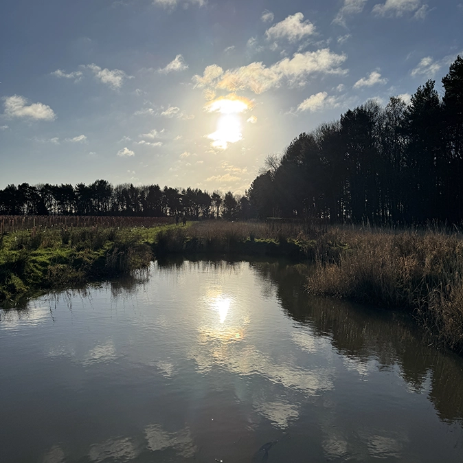 Nature friendly at Rudding Estate